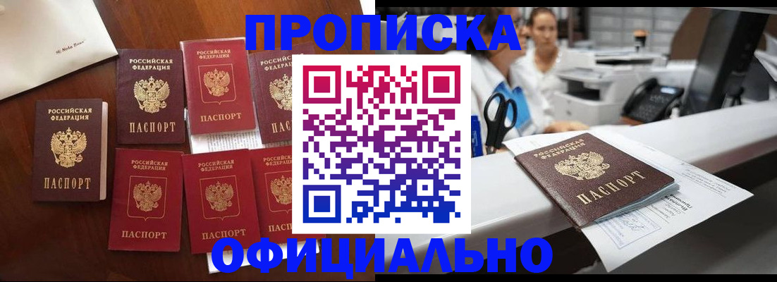 прописка в квартире в Ленинградской области